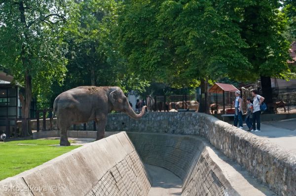 Зоопарк в Белграде
