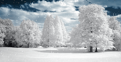 0_1c899_3b616976_L.gif
