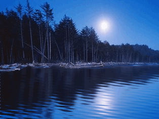 0_120f5_6a20a296_L.gif