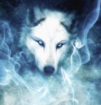 under_the_spell_by_Direfly.jpg