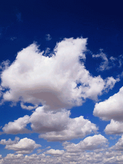 wapux_ru_0024.gif