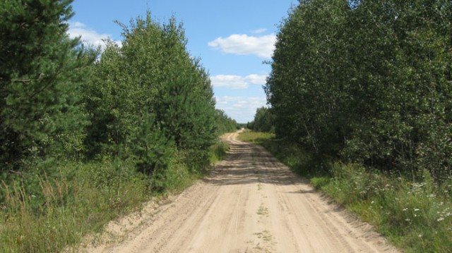 Но она всё равно вывела меня на основную)))