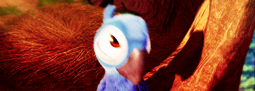 tumblr_lzbl5ujceq1r34ok8o1_500.gif