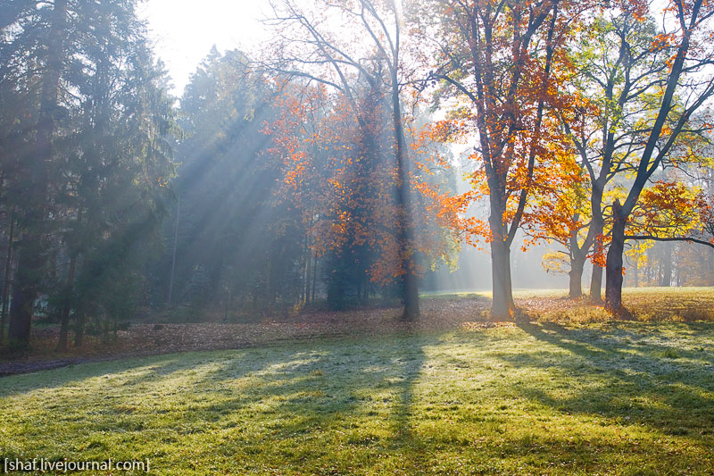 Лучезарная осень в Конопиште