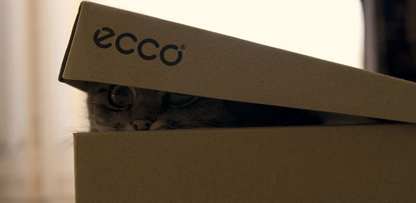 Кошки в упаковке )
