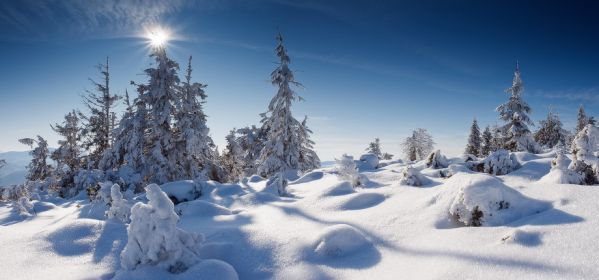 Красота Земли. Фотограф Леонид Тит