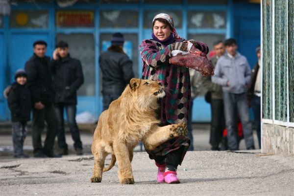 Фотоподборка. Животные и люди 10