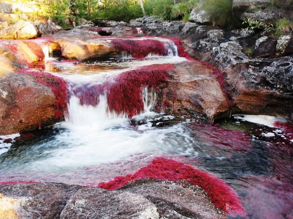 Каньо Кристалес - Река пять цветов