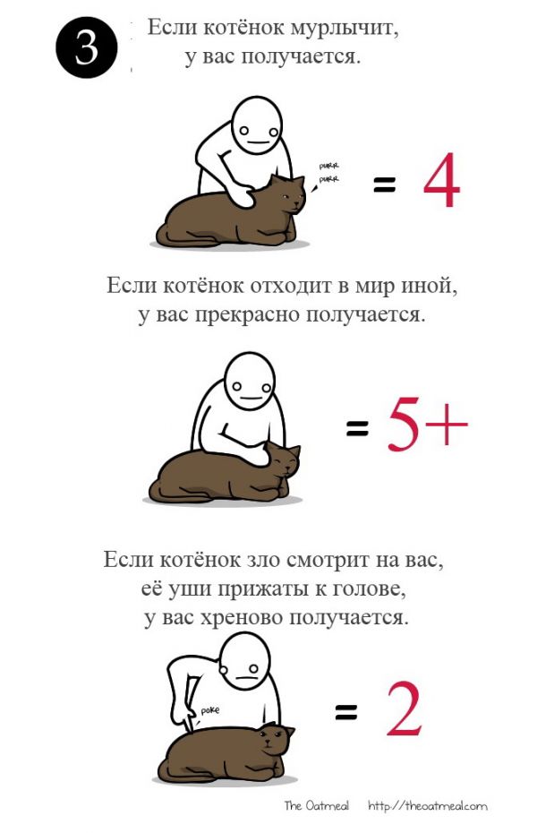 Как ласкать котенка