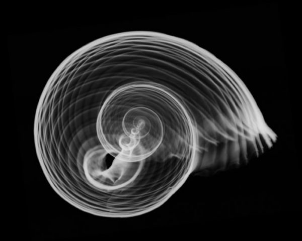 Nick Veasey