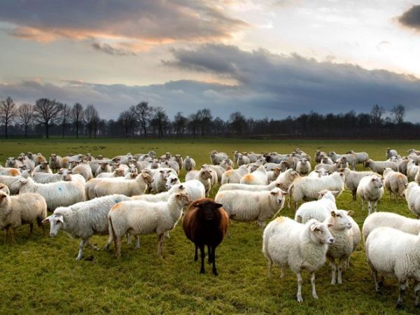 Фотографии от National Geographic