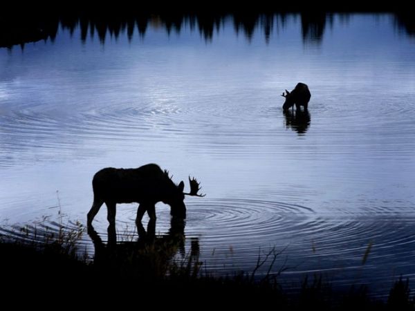 Фотографии от National Geographic